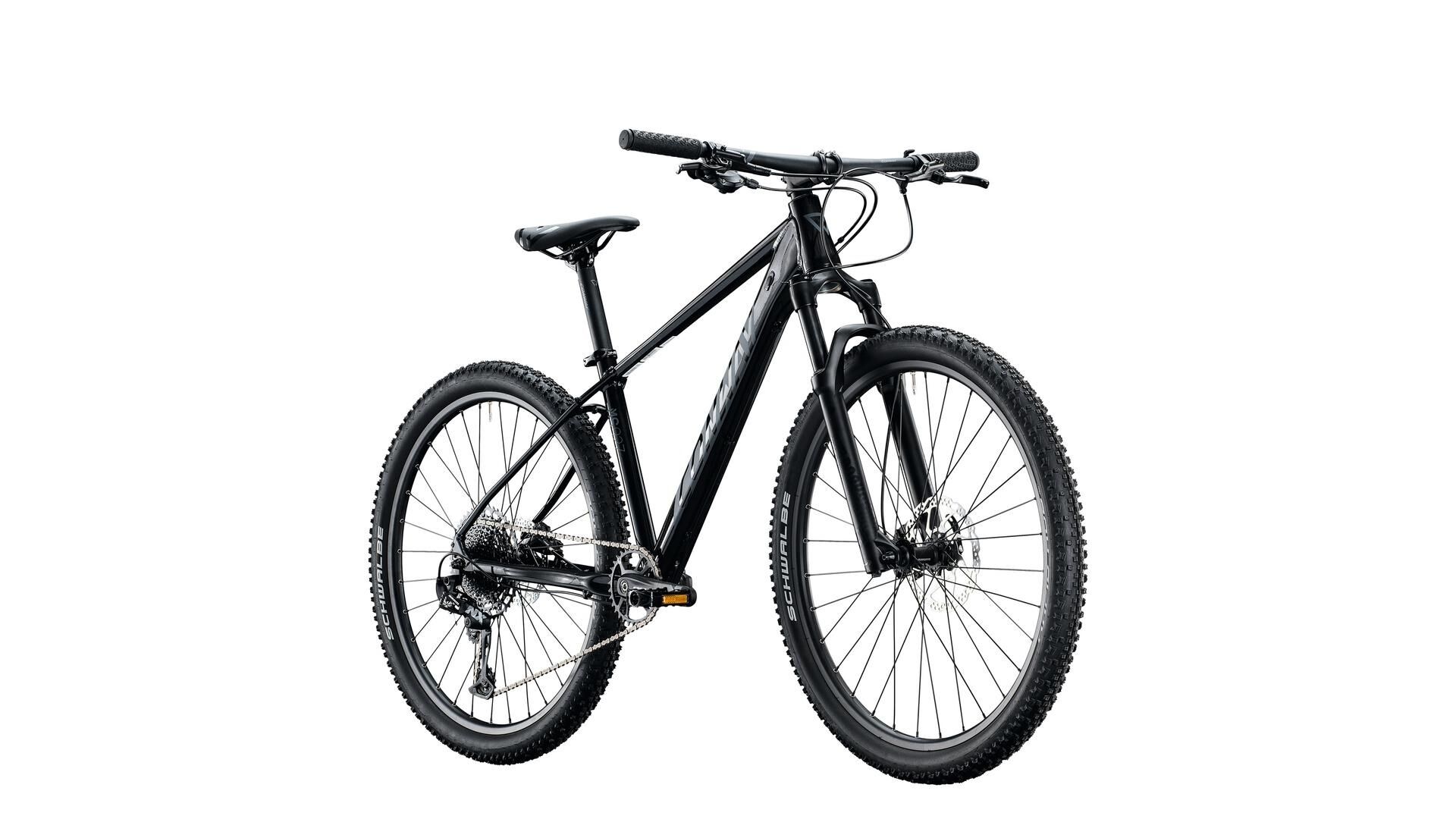 02876332_Conway_MTB_MS_927_2.jpg